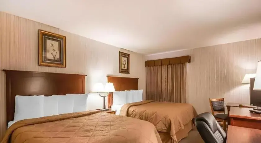 Bed in Quality Inn & Conference Centre Bed in Quality Inn & Conference Centre