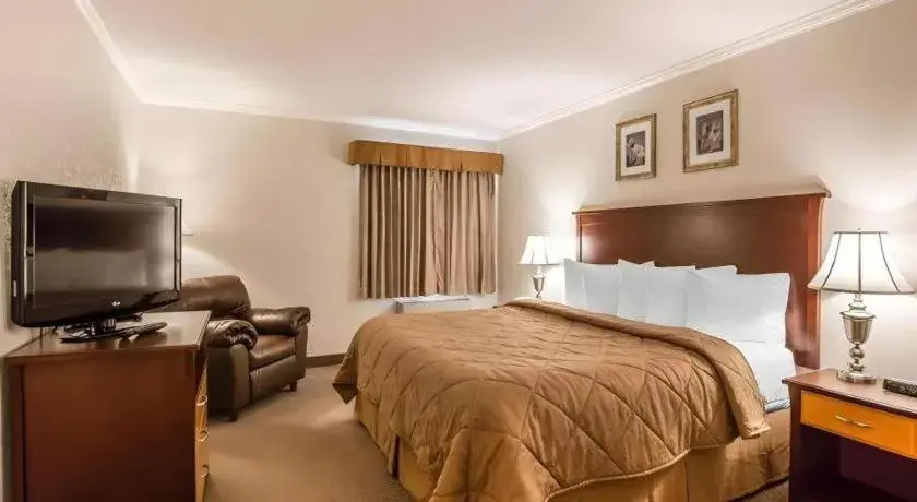 Bed in Quality Inn & Conference Centre Bed in Quality Inn & Conference Centre