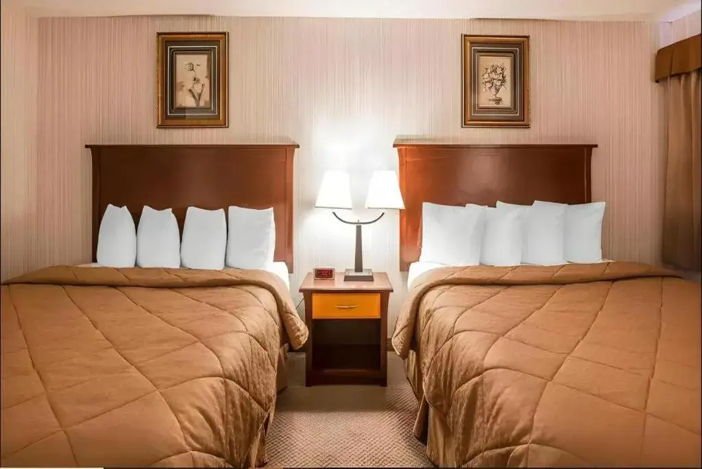 Bed in Quality Inn & Conference Centre Bed in Quality Inn & Conference Centre