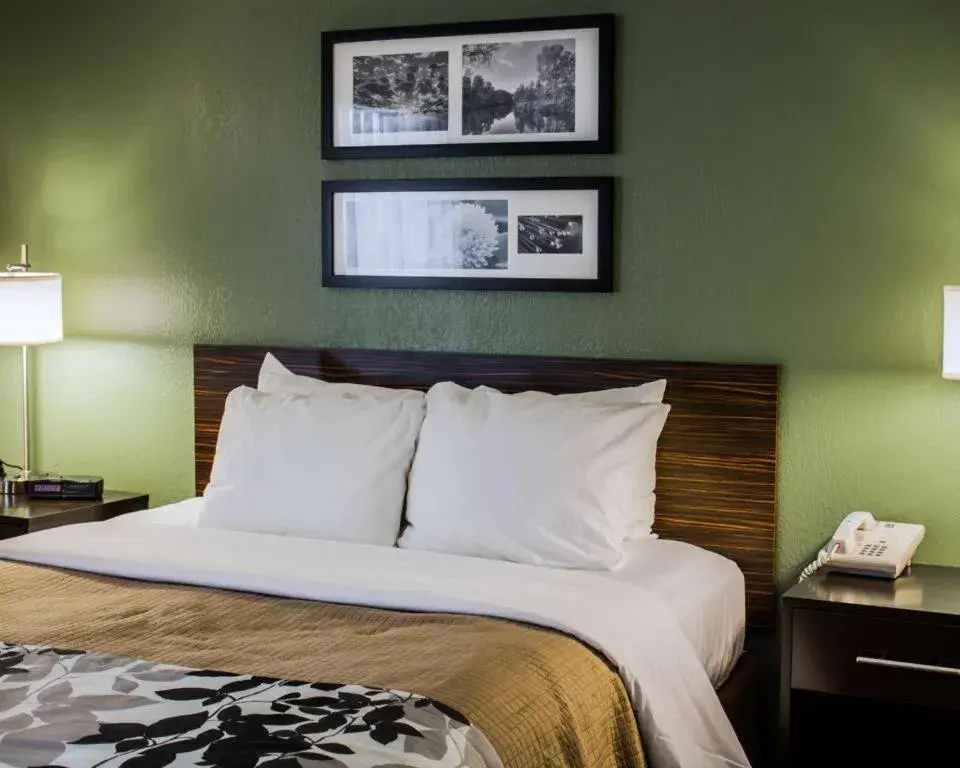 Bed in Sleep Inn Bed in Sleep Inn