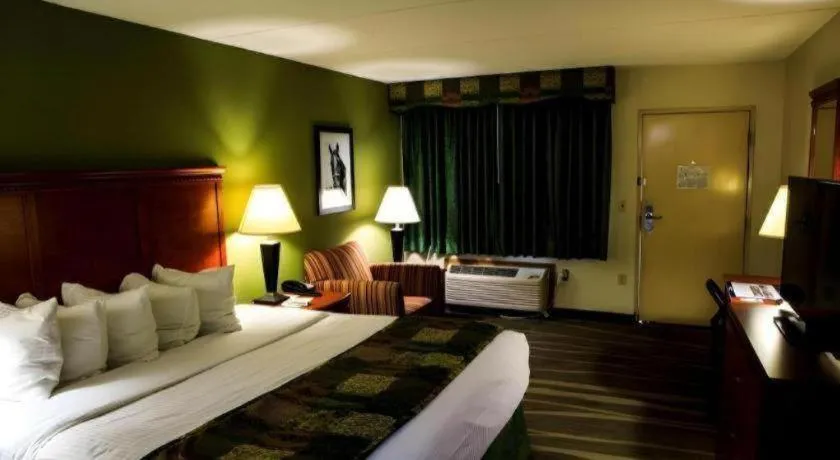 Bed in Best Western Shelbyville Inn and Suites Celebration Inn