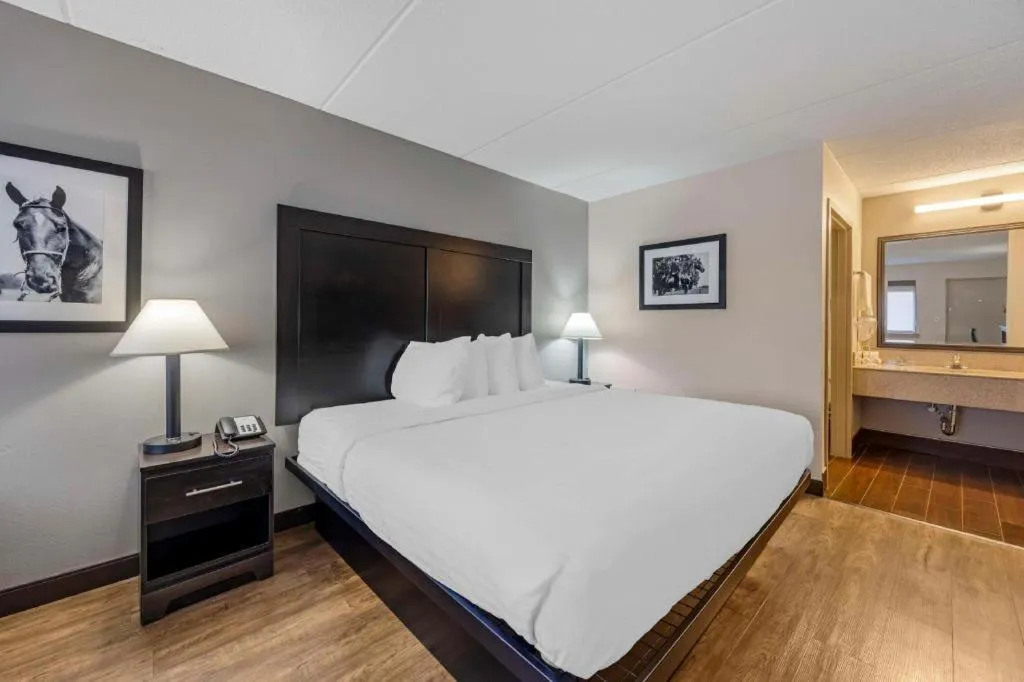 Bed in Best Western Shelbyville Inn and Suites Celebration Inn