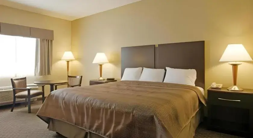 Bed in Quality Inn Bed in Quality Inn