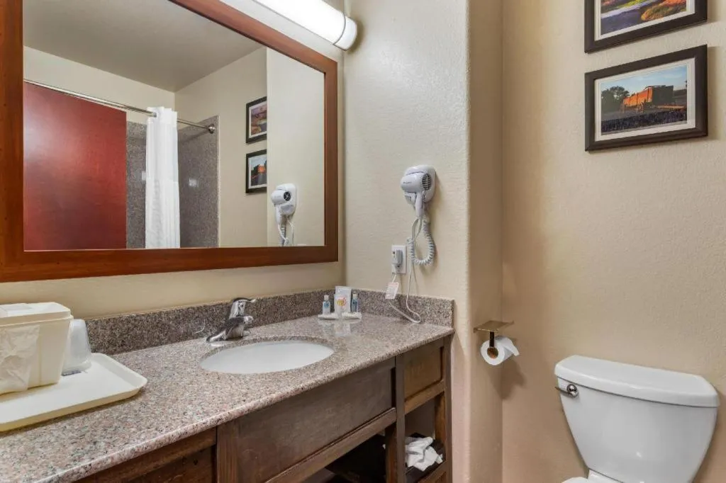 Comfort Inn & Suites Navasota