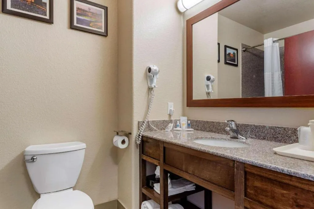 Comfort Inn & Suites Navasota