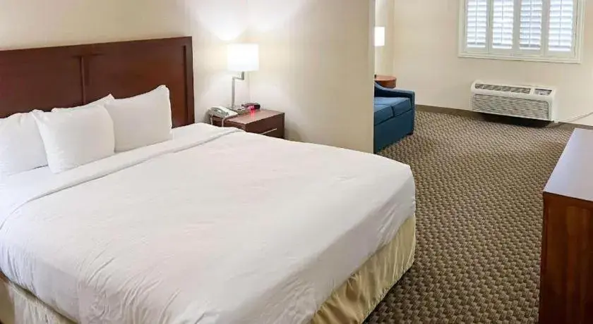 Bed in Comfort Inn and Suites Thatcher Bed in Comfort Inn and Suites Thatcher