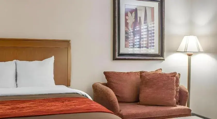 Bed in Comfort Inn and Suites Thatcher Bed in Comfort Inn and Suites Thatcher