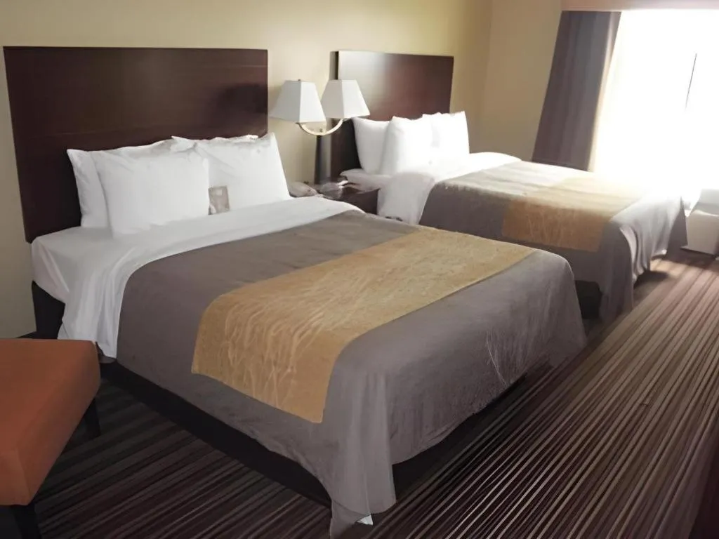 Bed in Quality Inn Clarksdale