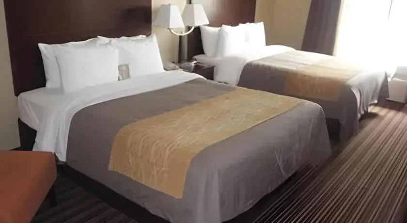 Bed in Quality Inn Clarksdale Bed in Quality Inn Clarksdale