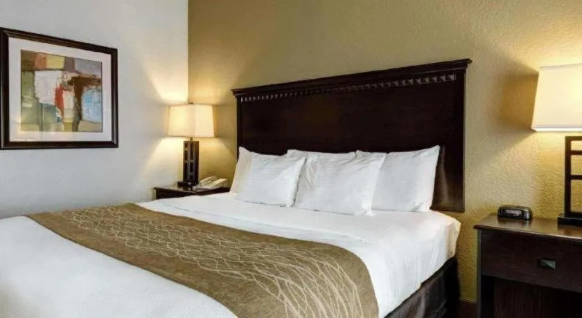 Bed in Comfort Inn & Suites Hot Springs Midtown