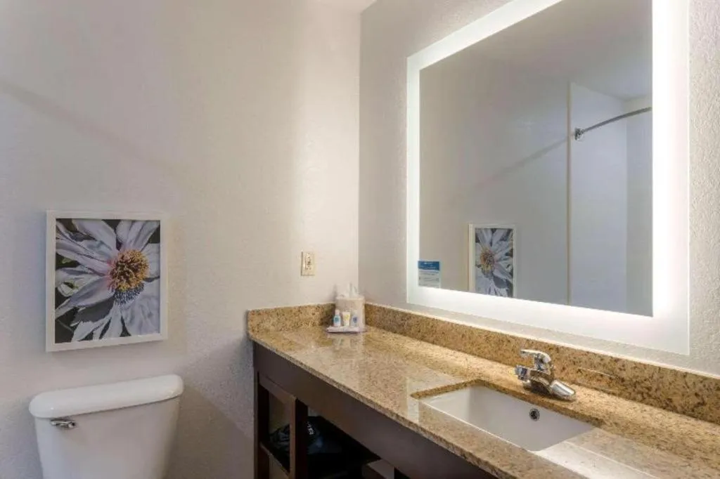 Comfort Inn & Suites Hot Springs Midtown