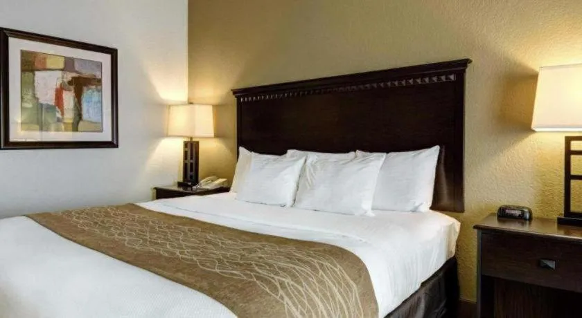 Bed in Comfort Inn & Suites Hot Springs Midtown