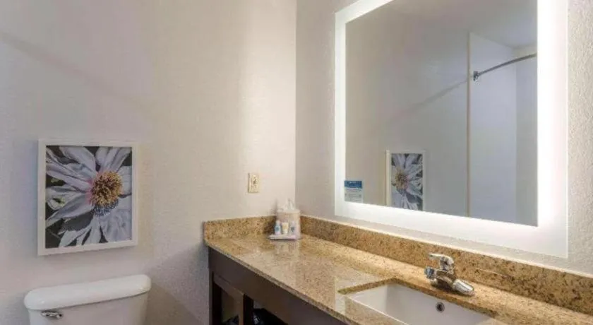 Comfort Inn & Suites Hot Springs Midtown