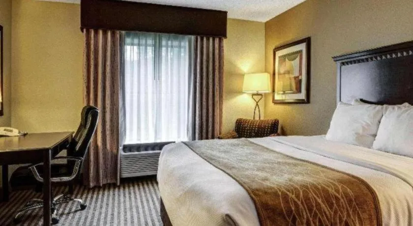Bed in Comfort Inn & Suites Hot Springs Midtown