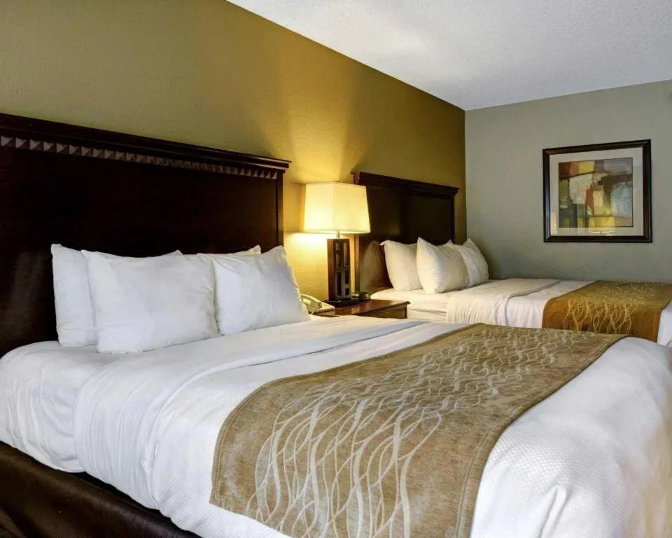 Bed in Comfort Inn & Suites Hot Springs Midtown