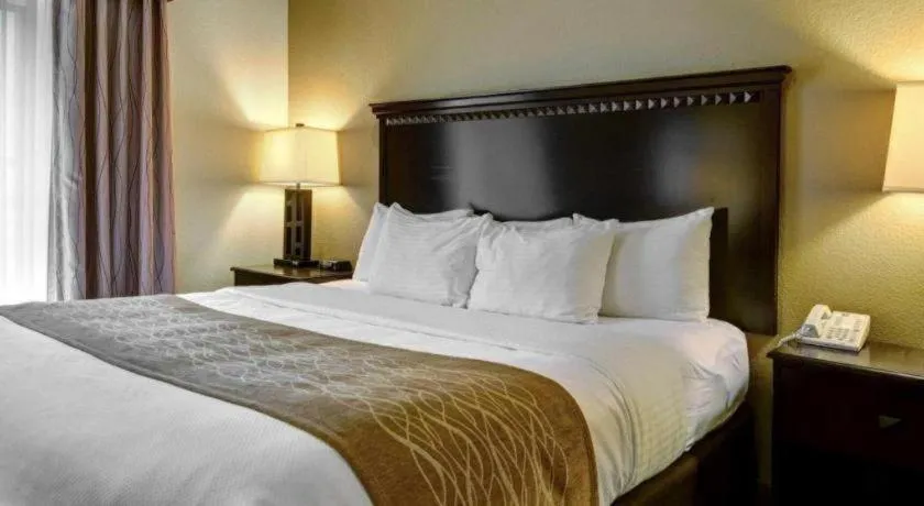 Bed in Comfort Inn & Suites Hot Springs Midtown