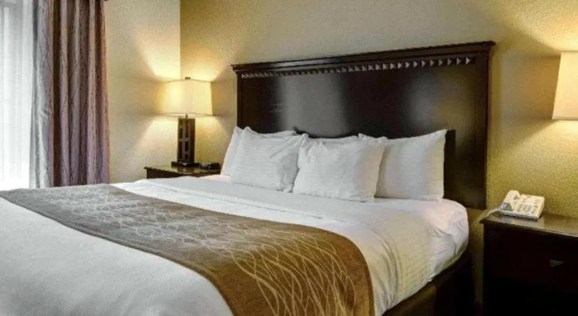 Bed in Comfort Inn & Suites Hot Springs Midtown