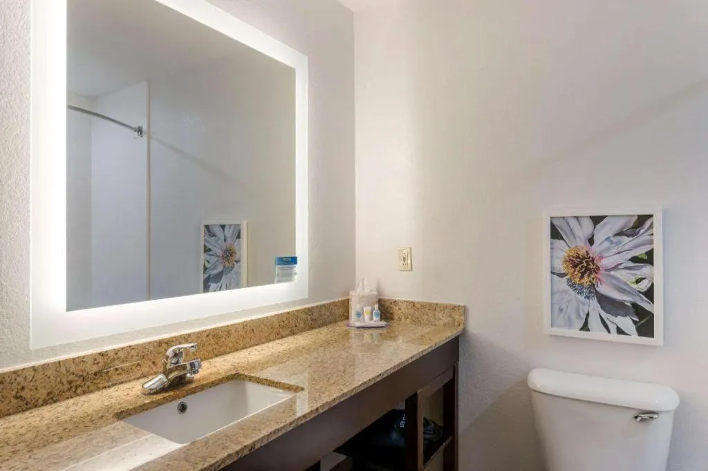 Comfort Inn & Suites Hot Springs Midtown