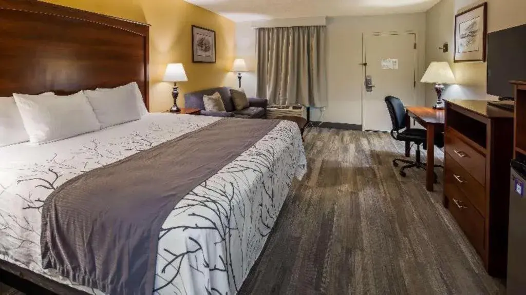 Bed in Best Western Home Place Inn Bed in Best Western Home Place Inn