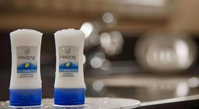 Best Western Windsor Inn