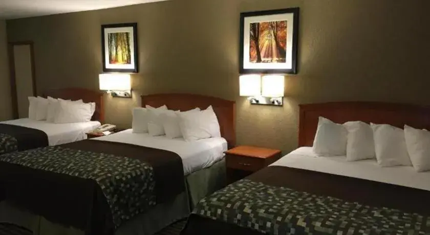 Bed in Best Western Windsor Inn Bed in Best Western Windsor Inn