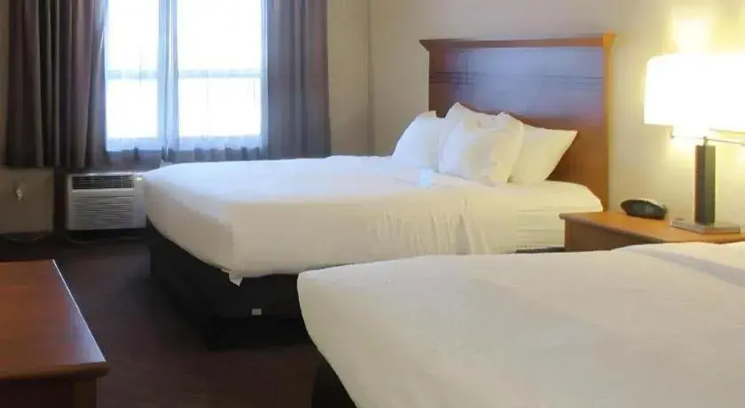 Bed in Quality Inn & Suites Detroit Lakes Bed in Quality Inn & Suites Detroit Lakes