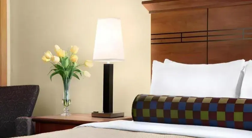 Bed in Quality Inn & Suites Detroit Lakes Bed in Quality Inn & Suites Detroit Lakes