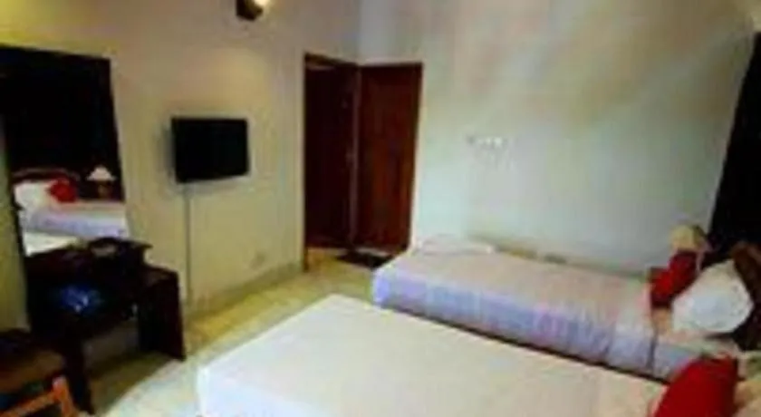 Bed in Tropical Daisy