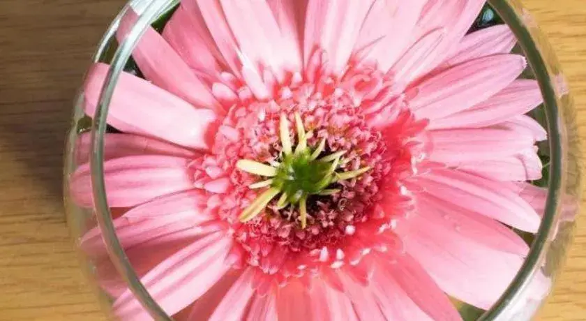 AHA Boutique Ben Thanh Hotel AHA Boutique Ben Thanh Hotel