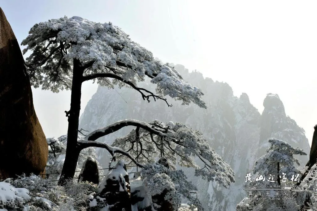 Huangshan Yupinglou Hotel