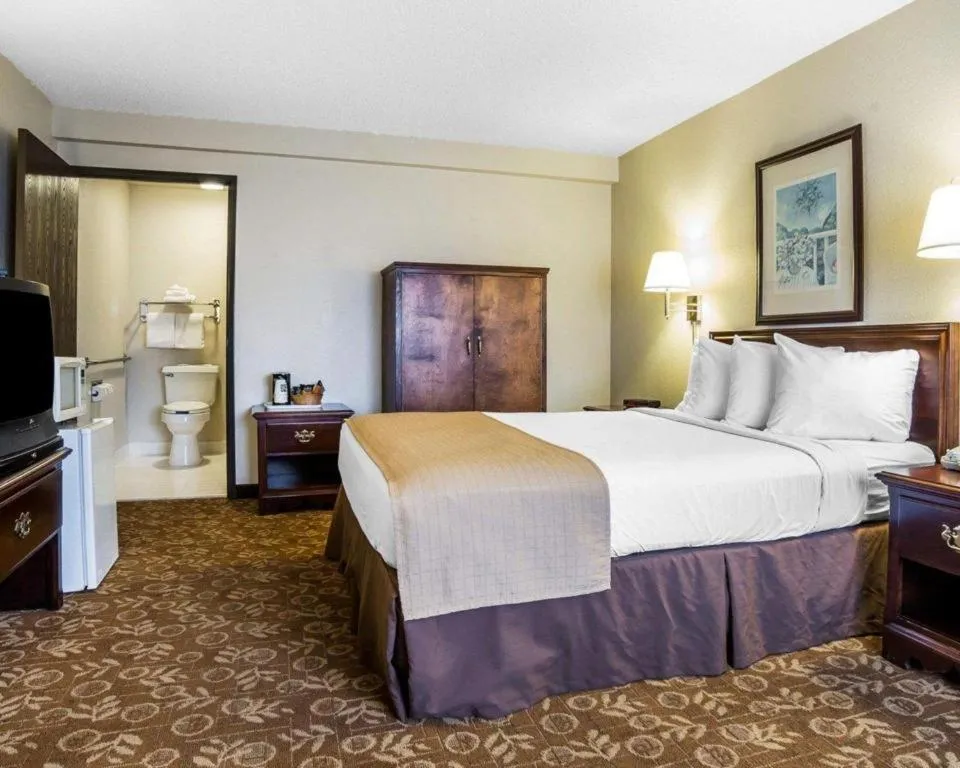 Bed in Quality Inn & Suites Minden