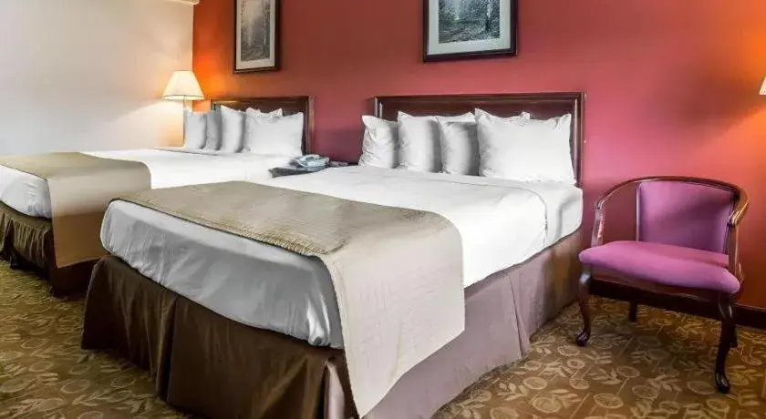 Bed in Quality Inn & Suites Minden Bed in Quality Inn & Suites Minden