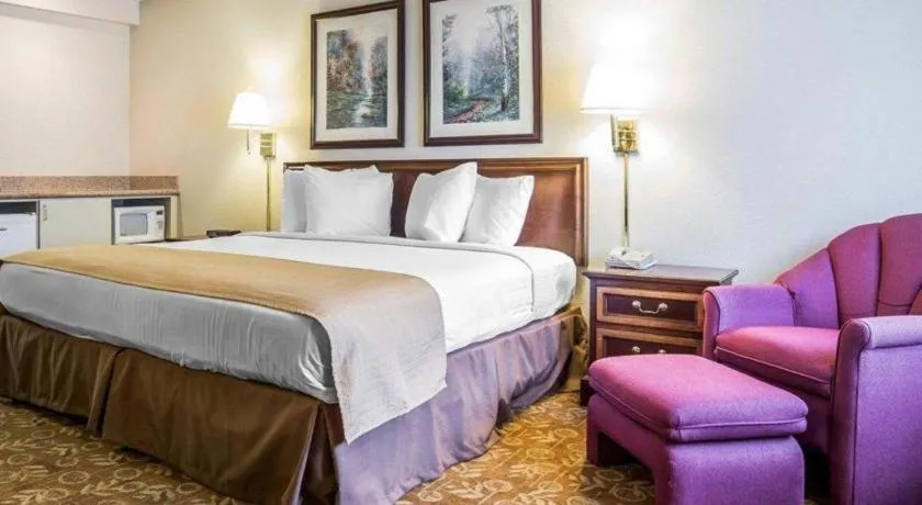 Bed in Quality Inn & Suites Minden