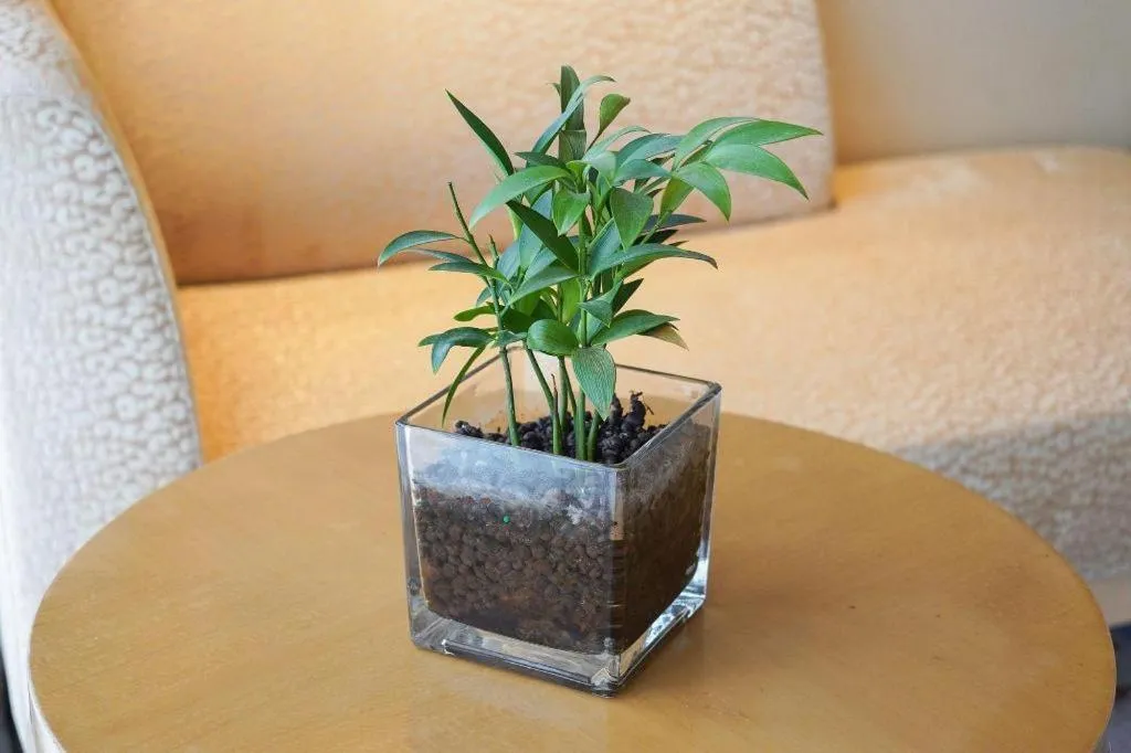 Grand Skylight International Hotel Guiyang