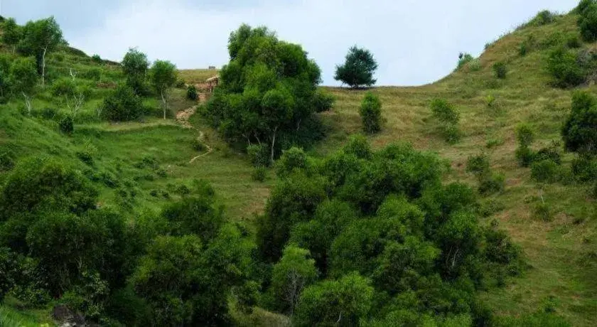 Kenari Asri Hotel Kenari Asri Hotel