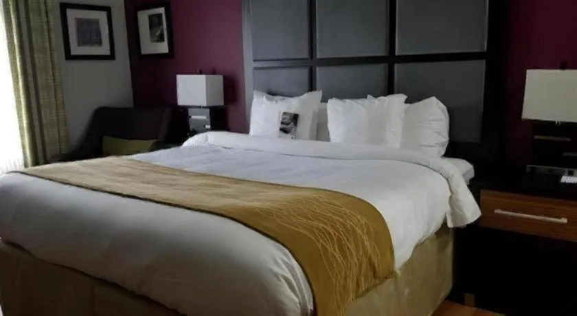 Bed in Comfort Inn & Suites Tulsa I-44 West - Rt 66