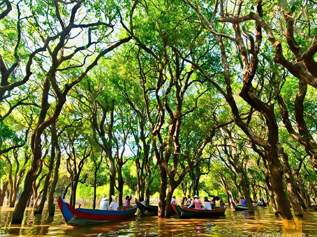 Ladear Angkor Boutique Hotel