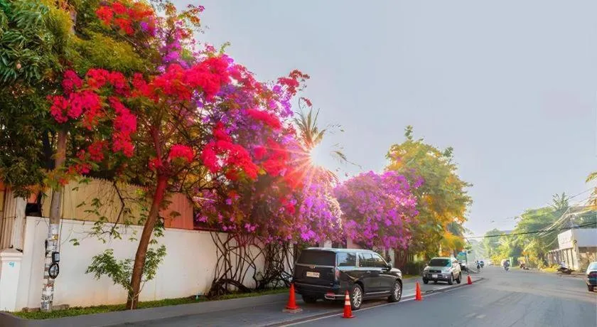 Ladear Angkor Boutique Hotel