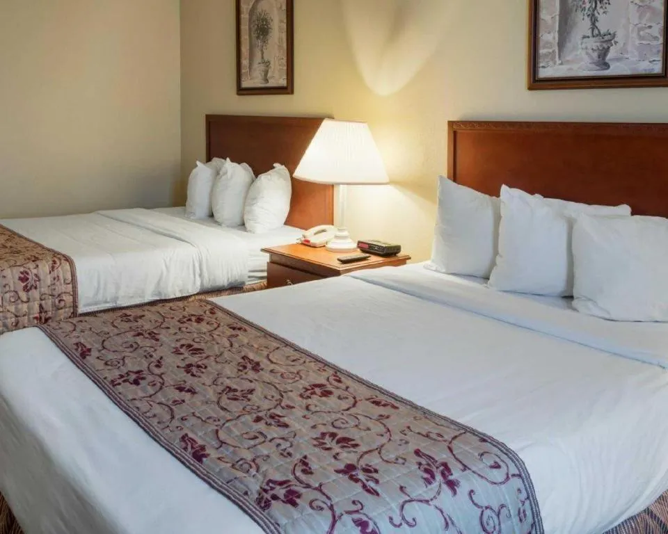 Bed in Rodeway Inn Greenville