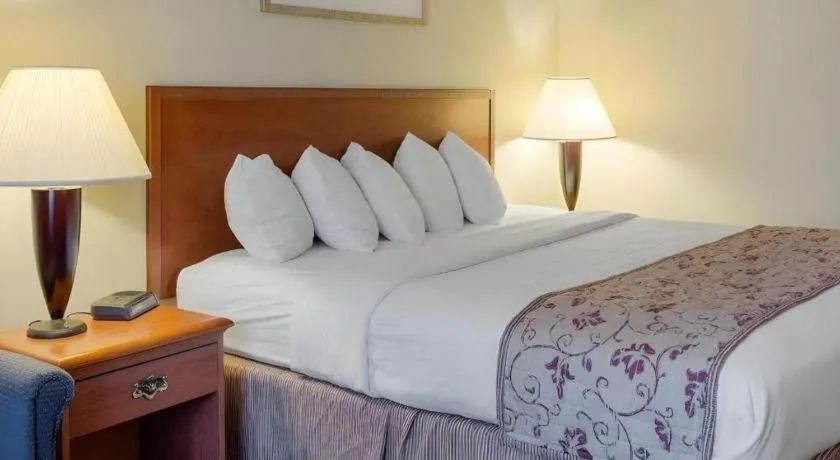 Bed in Rodeway Inn Greenville