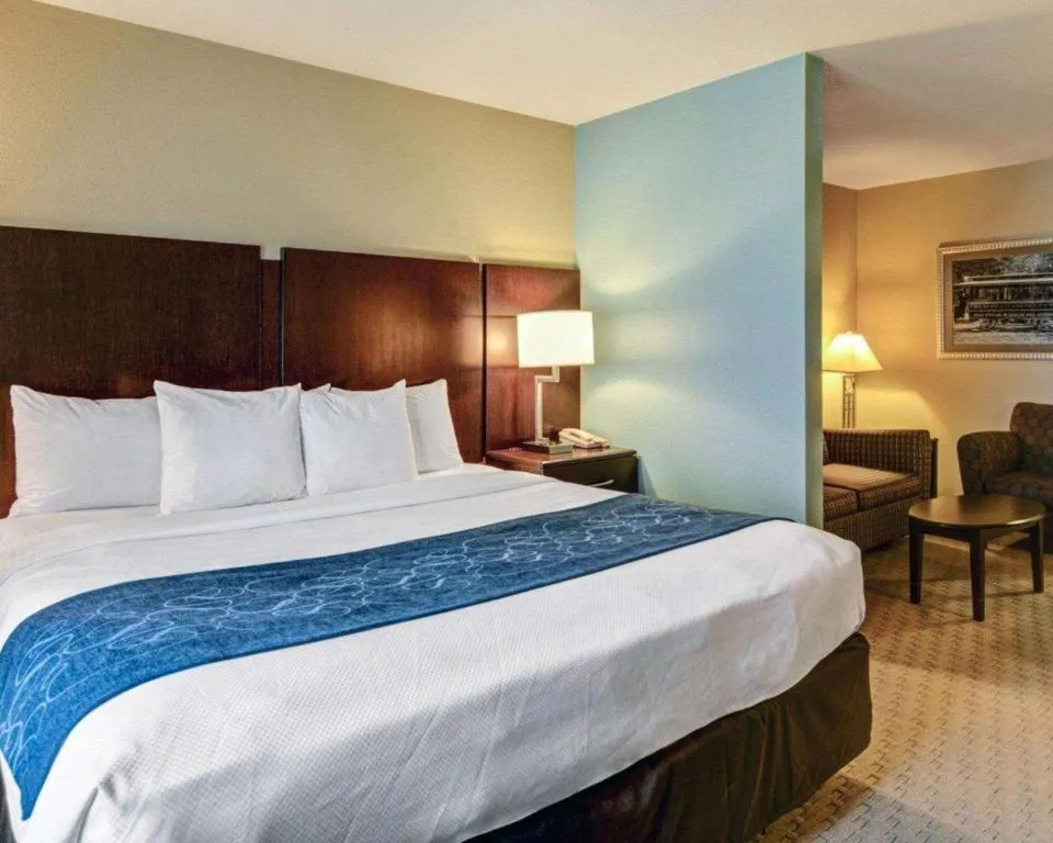 Bed in Comfort Suites near Hot Springs Park