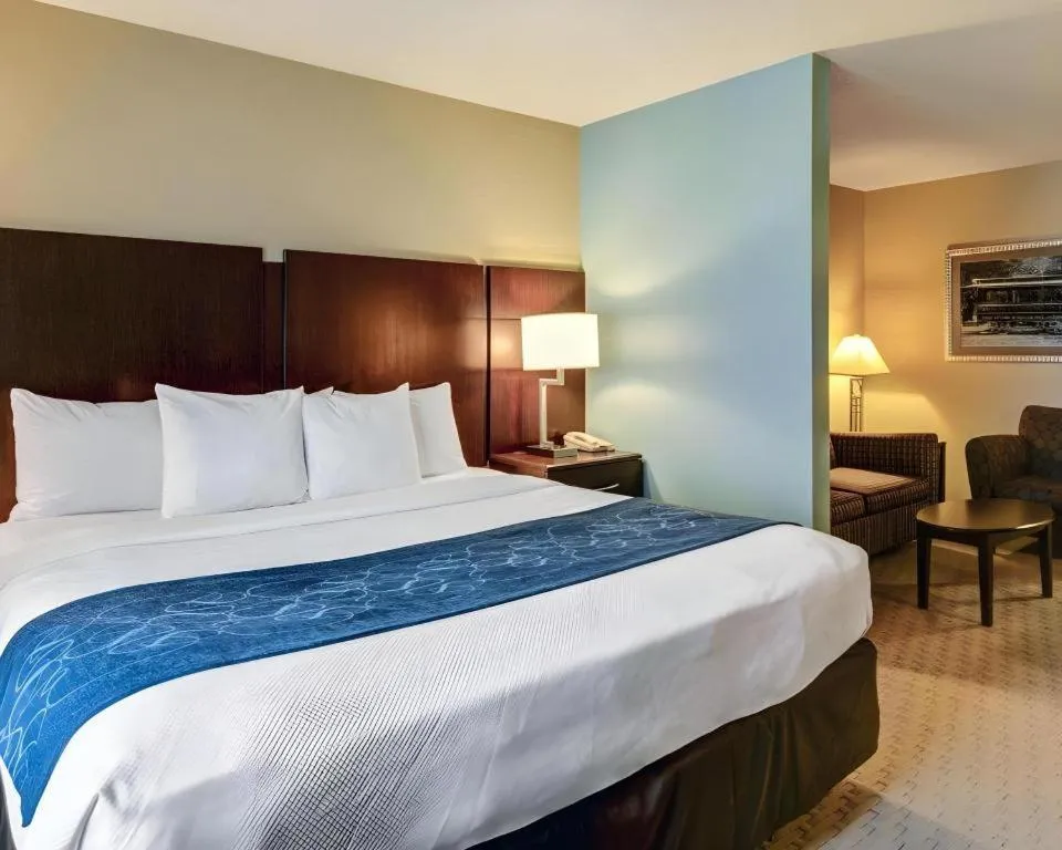 Bed in Comfort Suites near Hot Springs Park