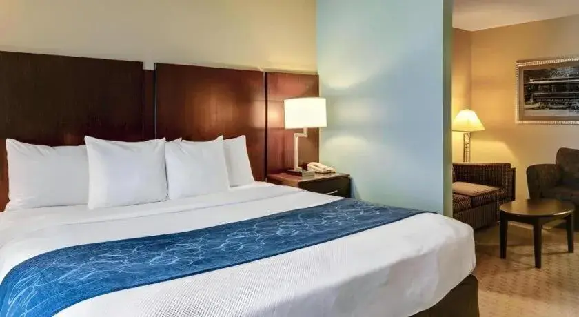 Bed in Comfort Suites near Hot Springs Park Bed in Comfort Suites near Hot Springs Park