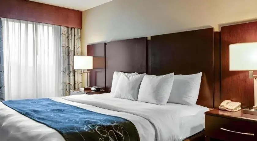 Bed in Comfort Suites near Hot Springs Park Bed in Comfort Suites near Hot Springs Park