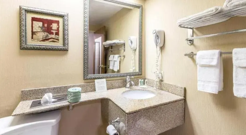 Quality Inn Quality Inn