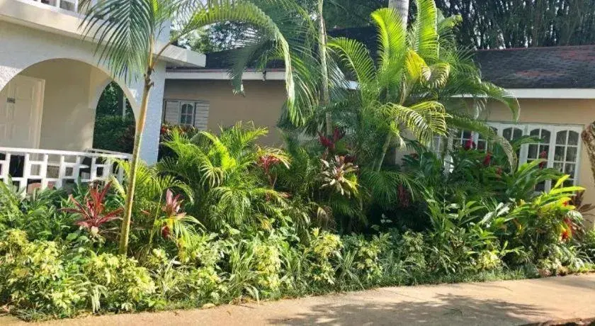 Gold Nugget Hotel Gold Nugget Hotel