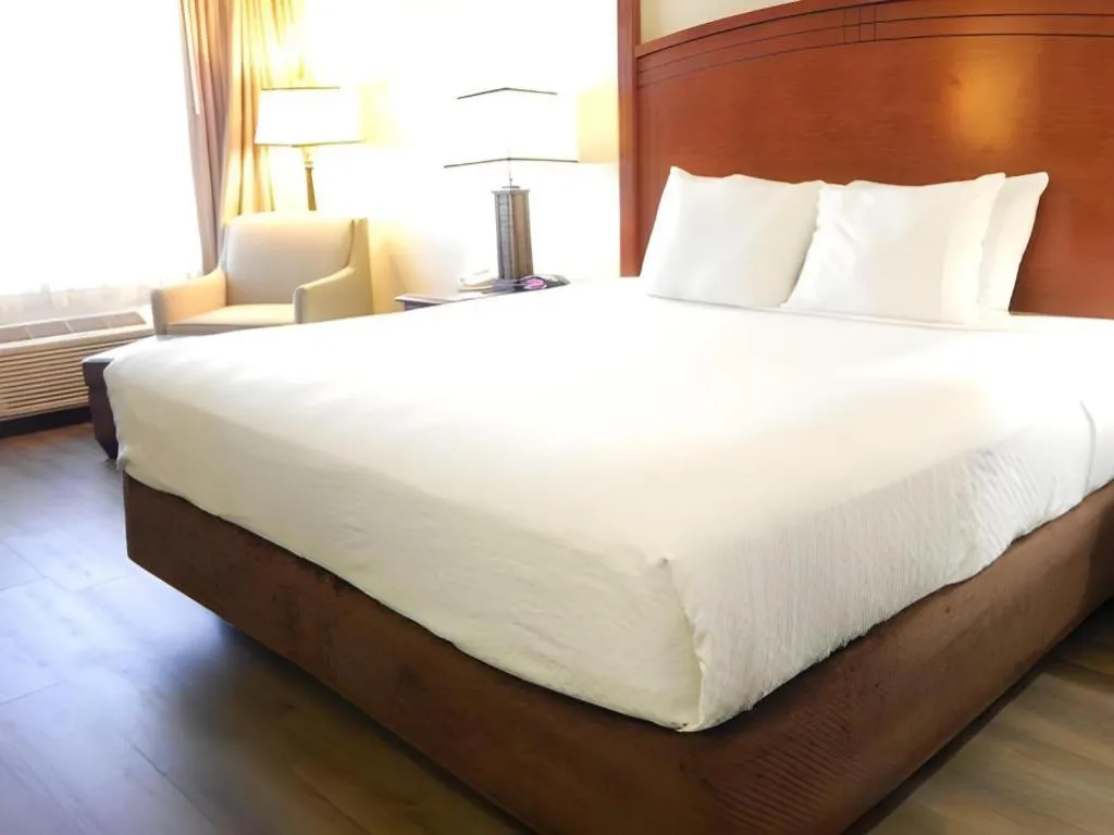 Bed in SureStay Plus by Best Western Lawton