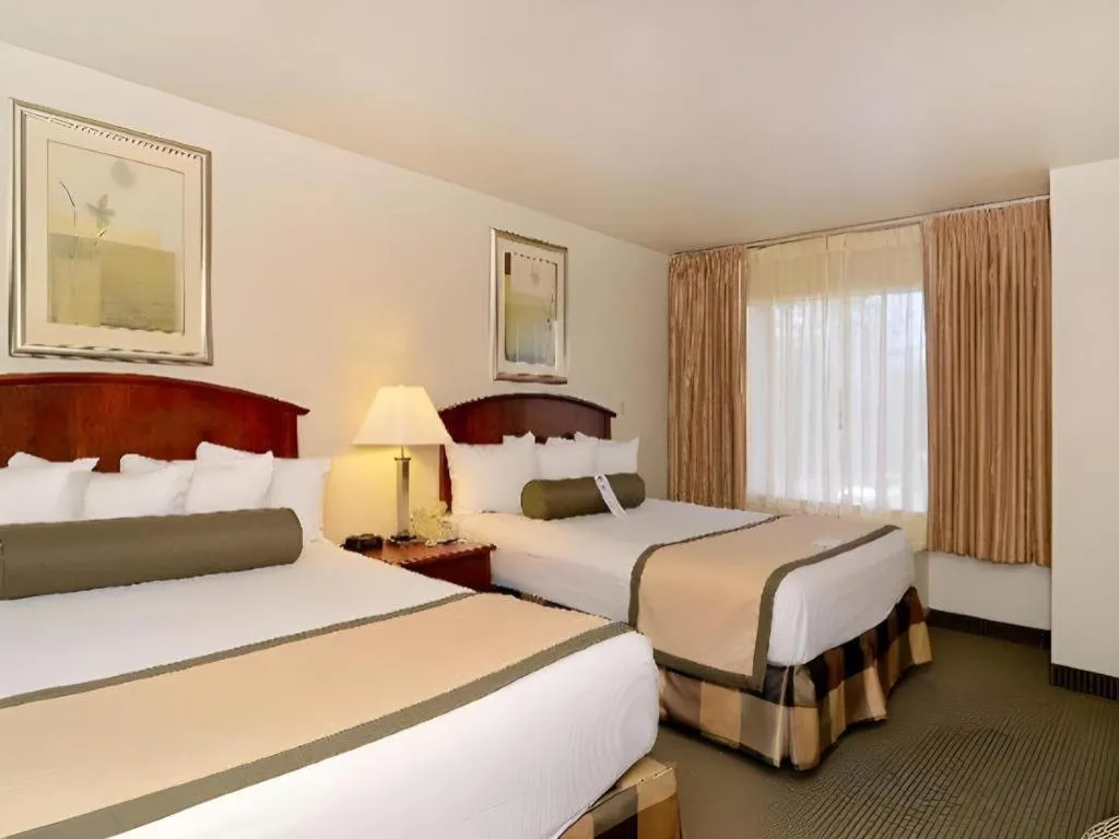 Bed in SureStay Plus by Best Western Lawton