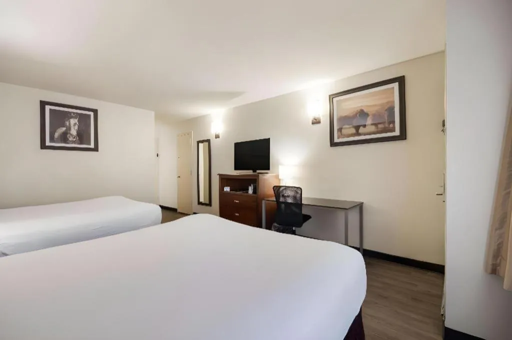 Bed in SureStay Plus by Best Western Lawton