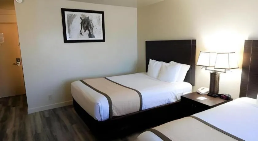 Bed in SureStay Plus by Best Western Lawton